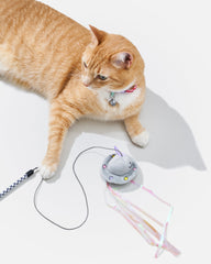 Cat Wild Wand