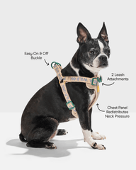Step-In Dog Harness