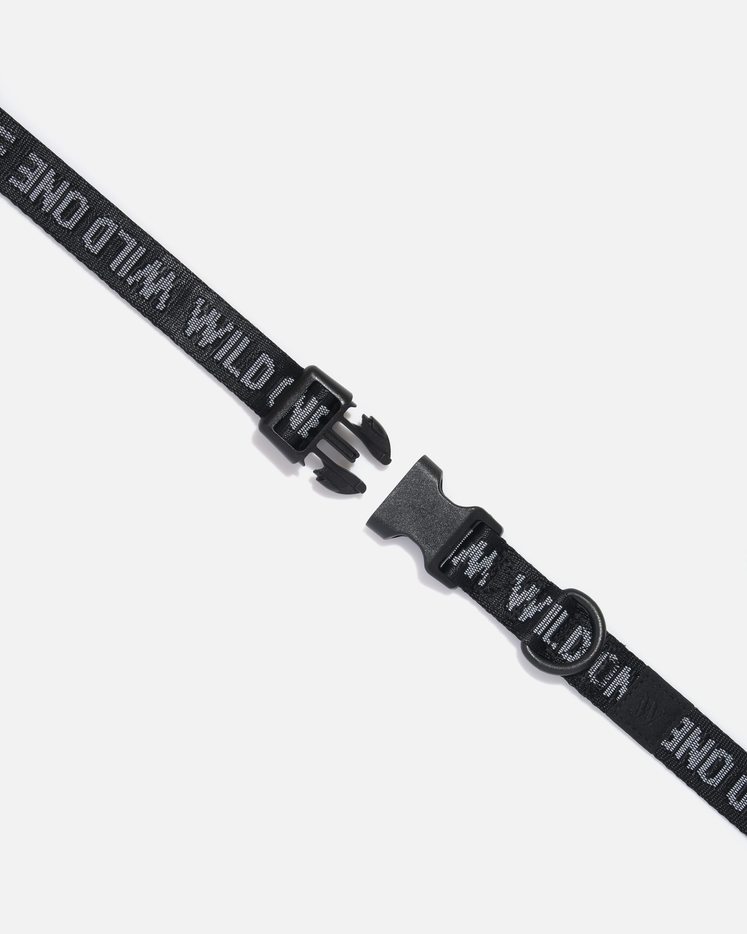 Quick-Release Dog Collar