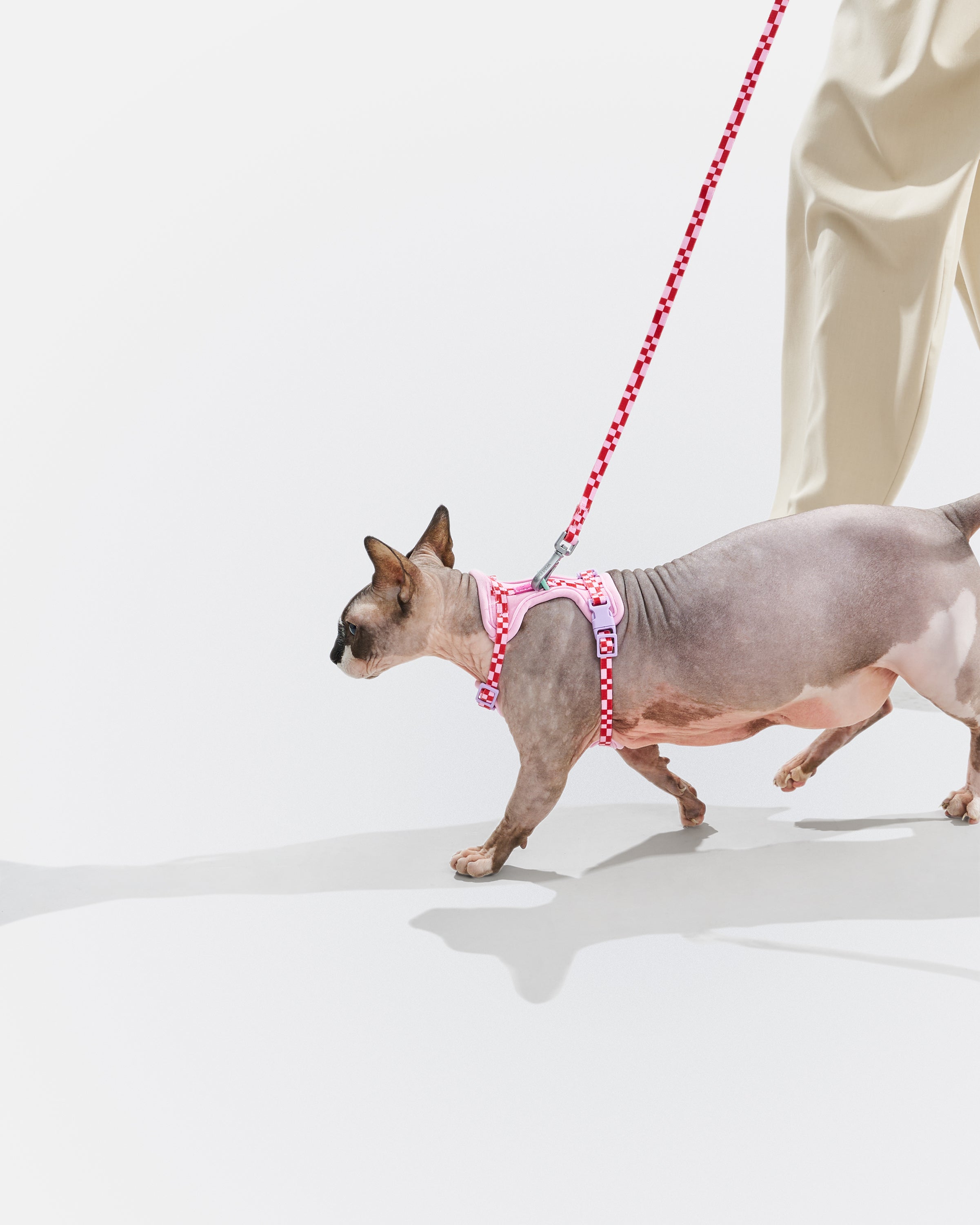 Cat Harness & Leash