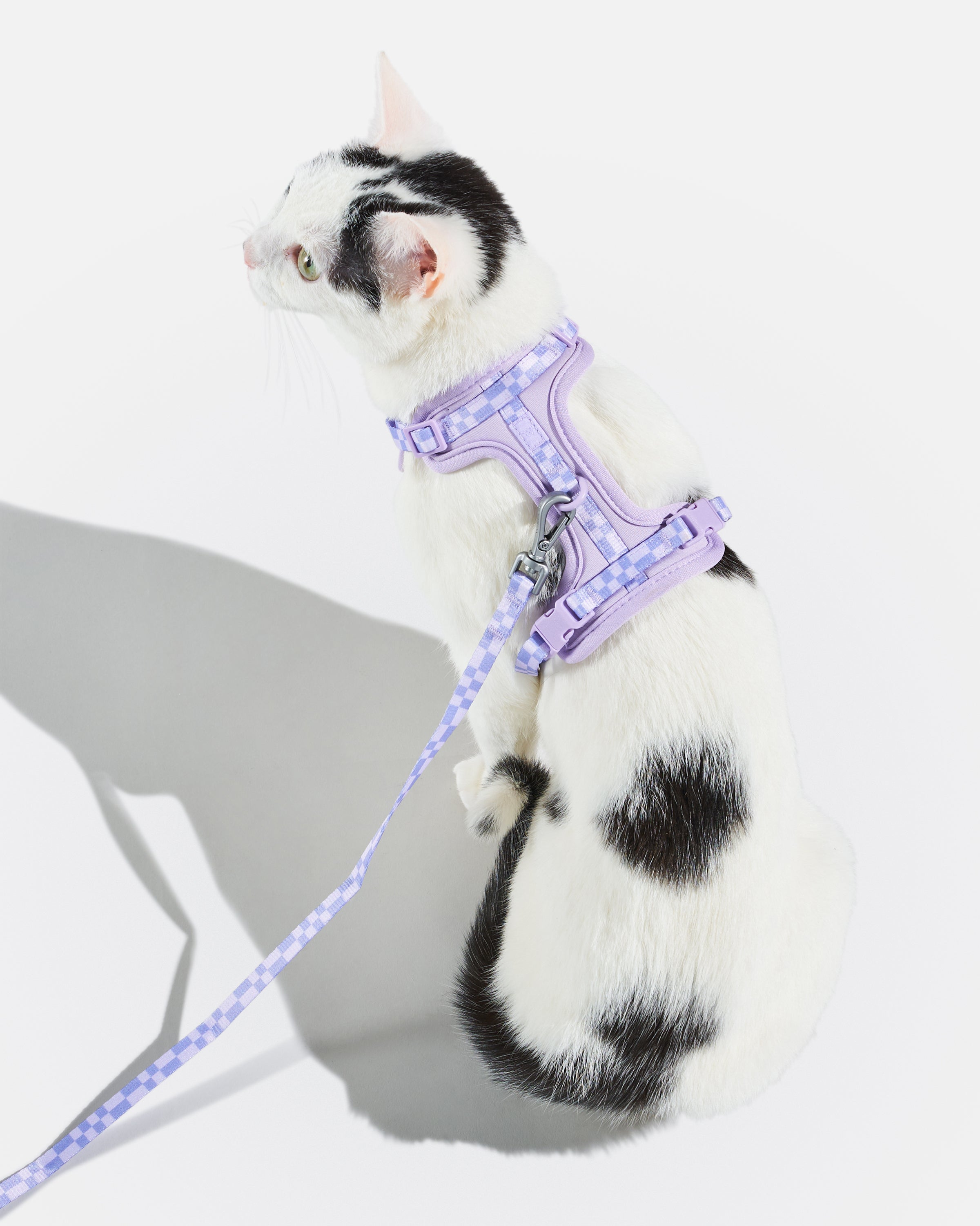 Cat Harness & Leash