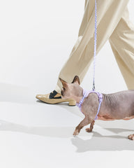 Cat Harness & Leash