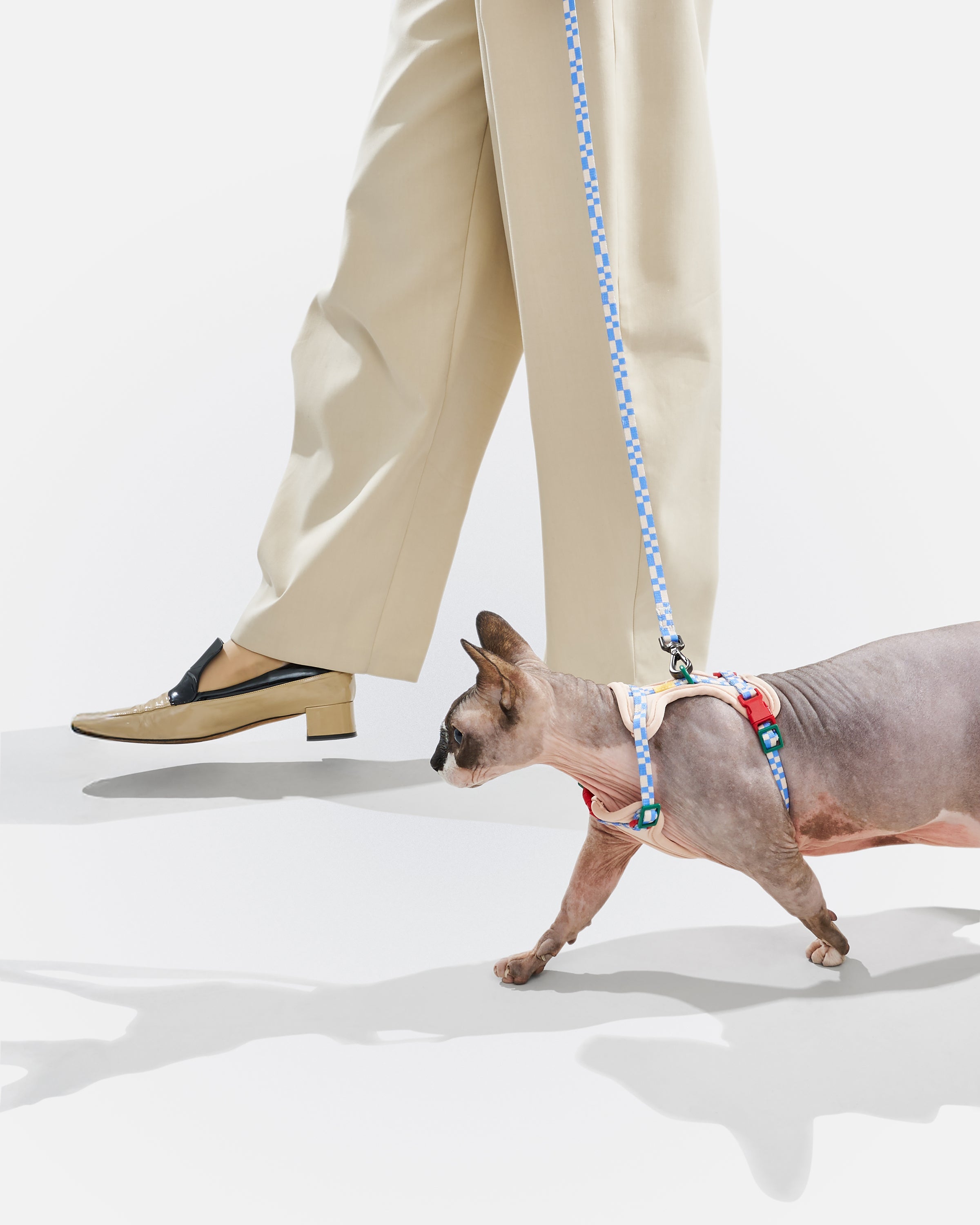 Cat Harness & Leash