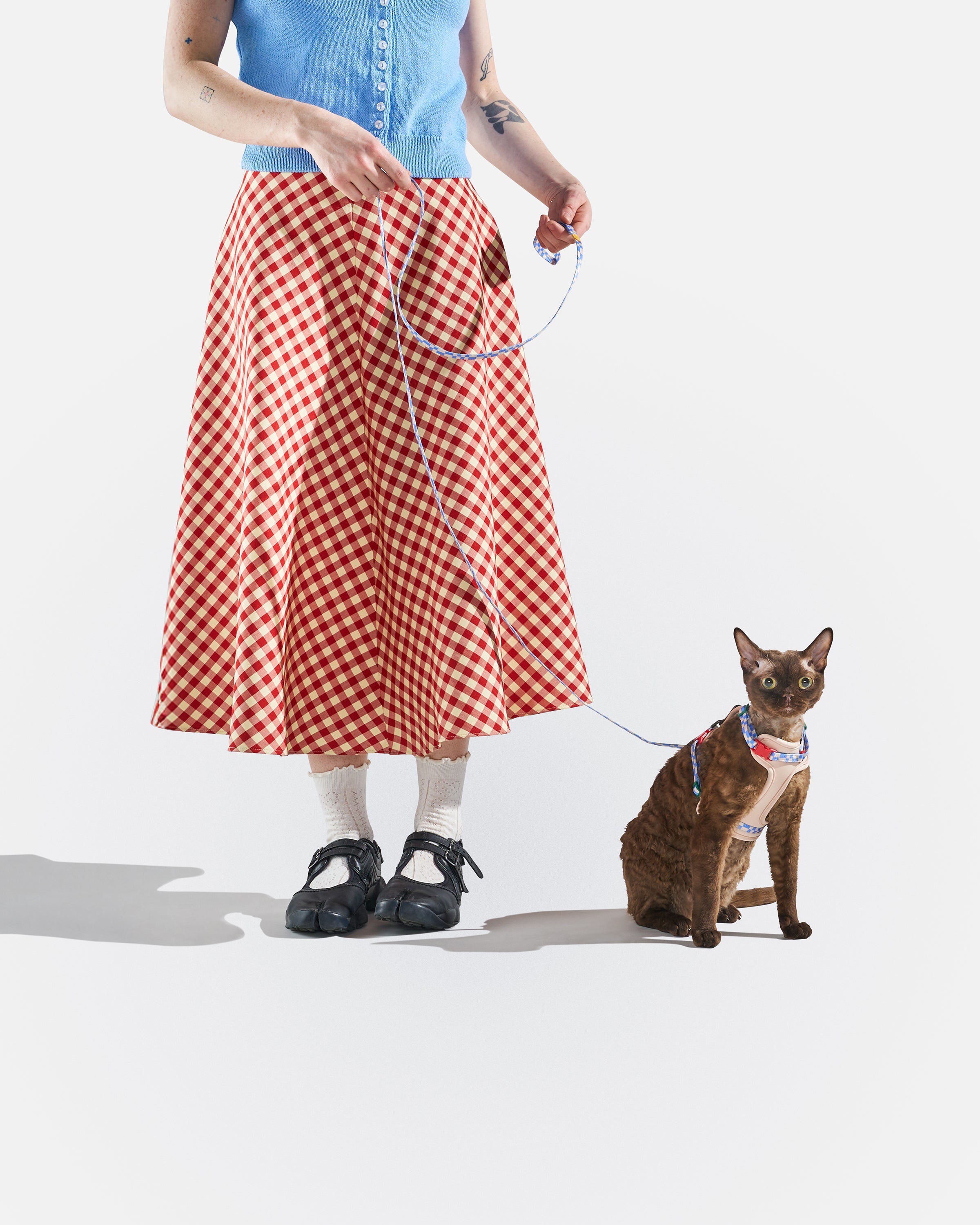 Cat Harness & Leash