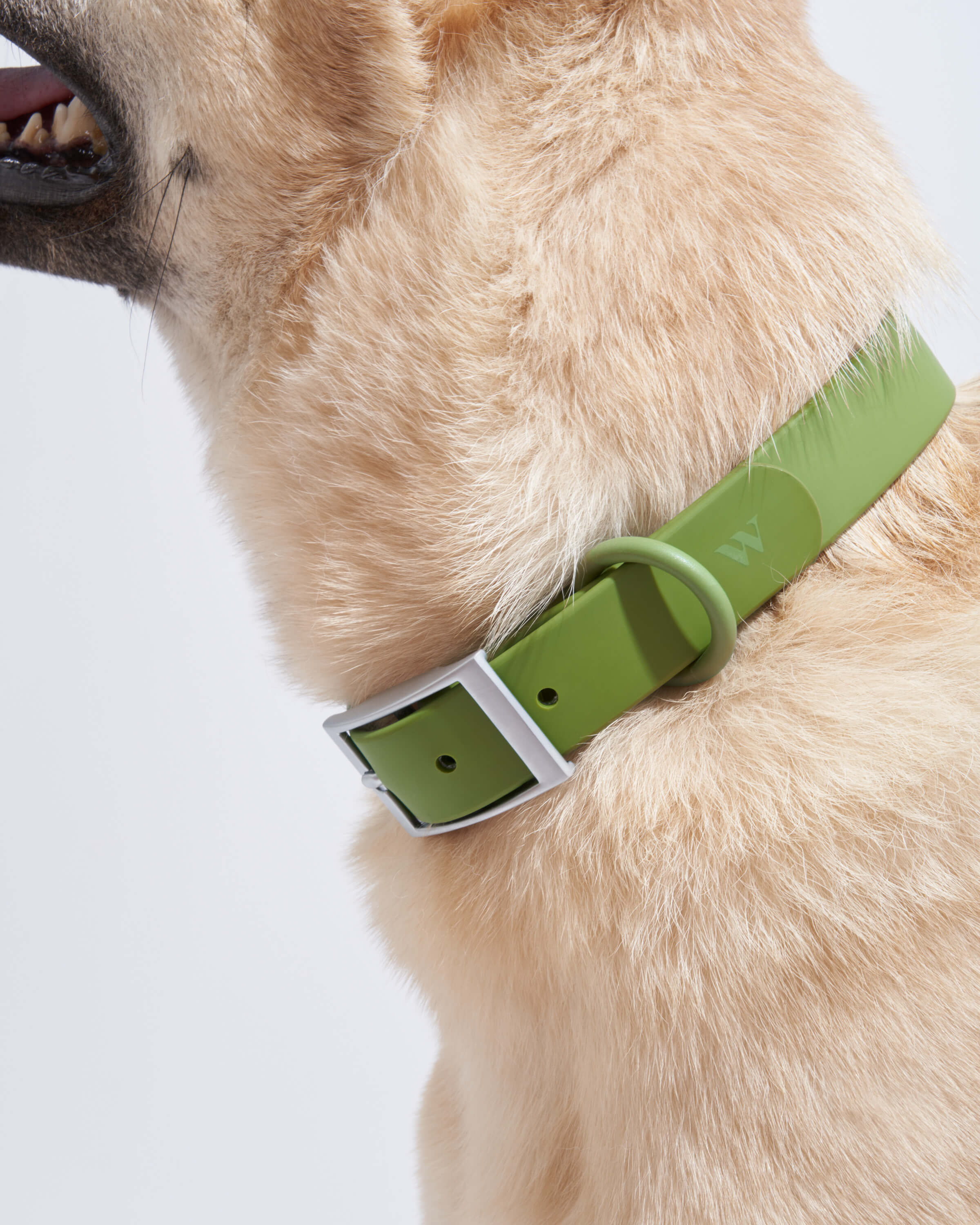 Waterproof Dog Collar