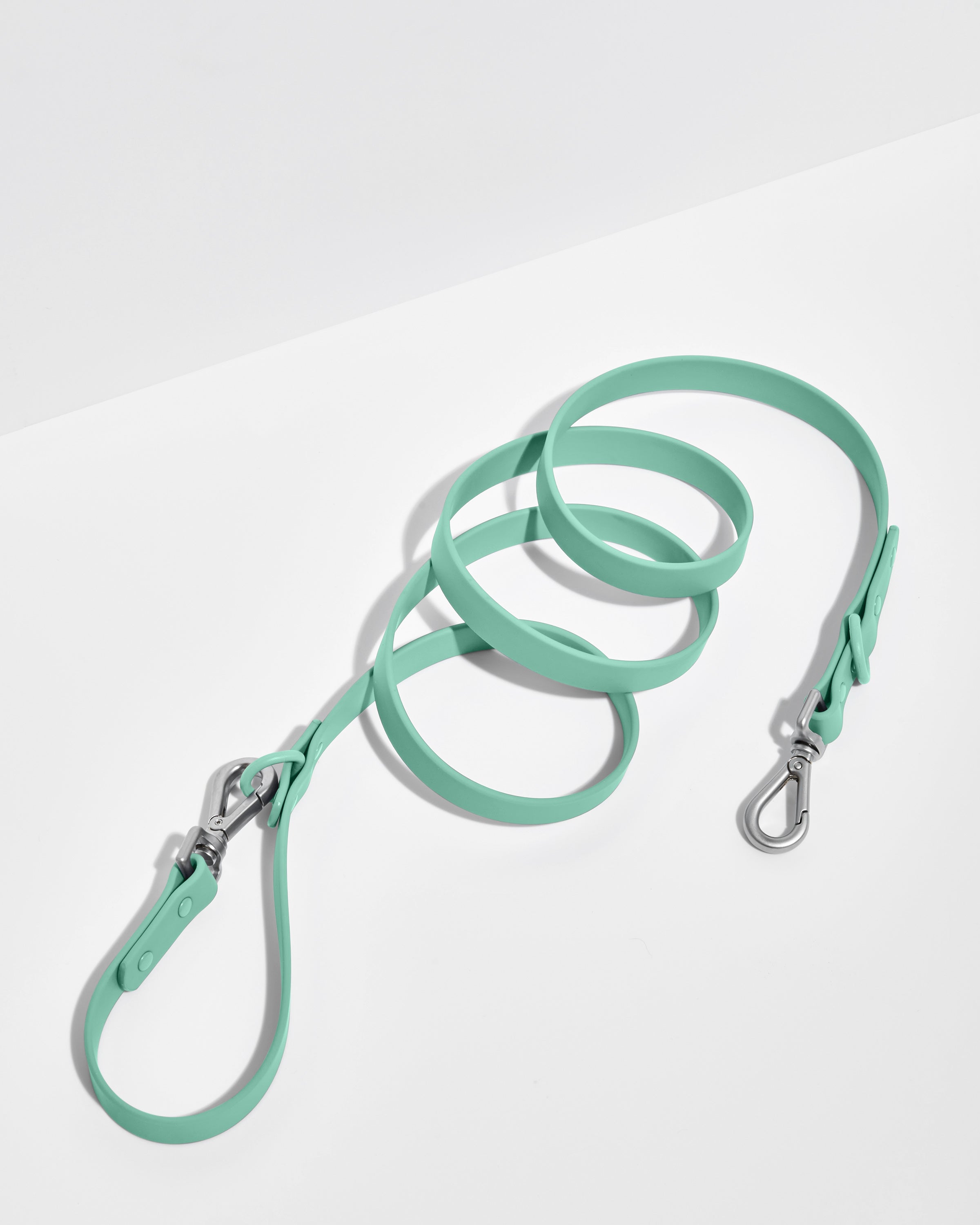 Waterproof Dog Leash