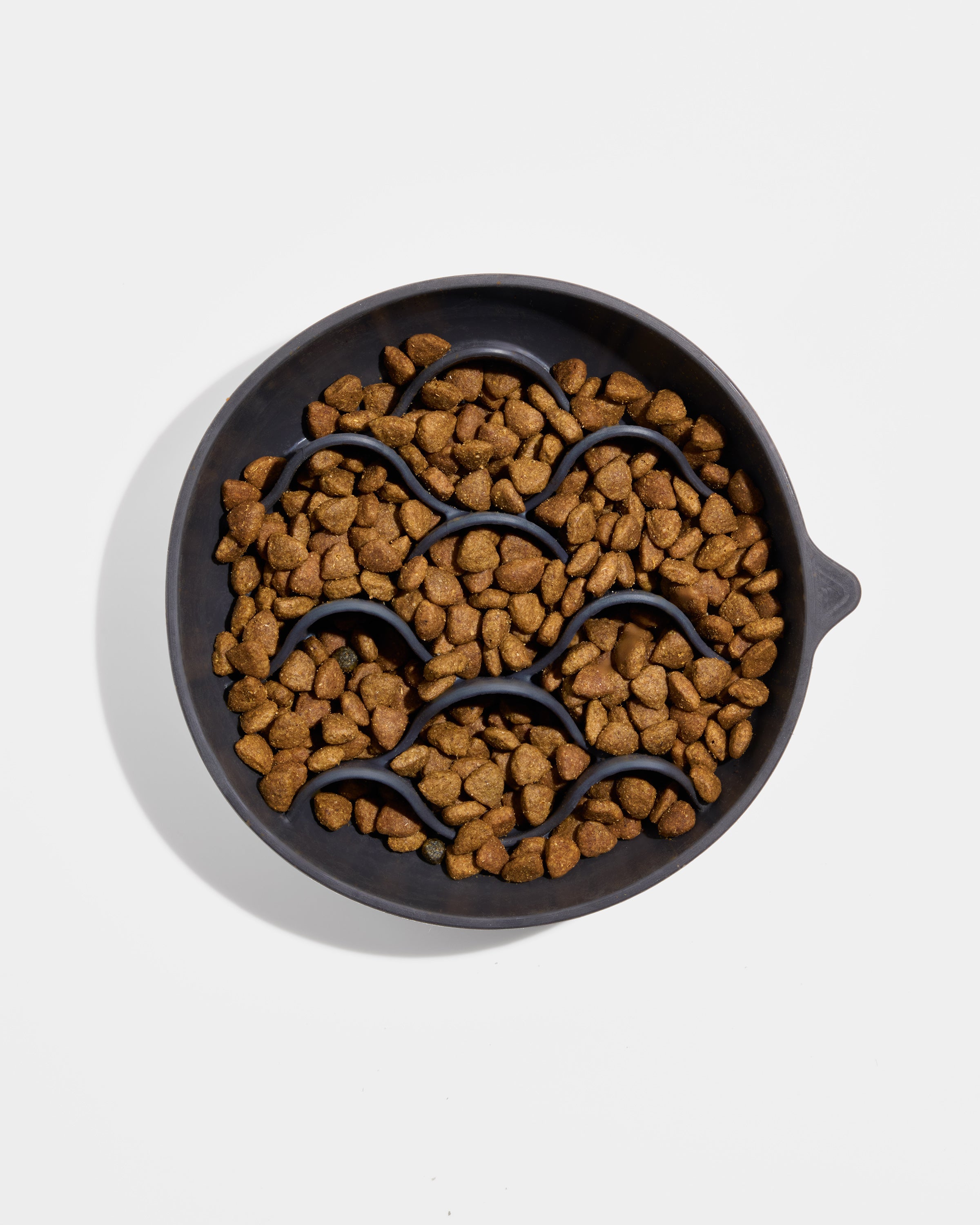 Slow Feeder