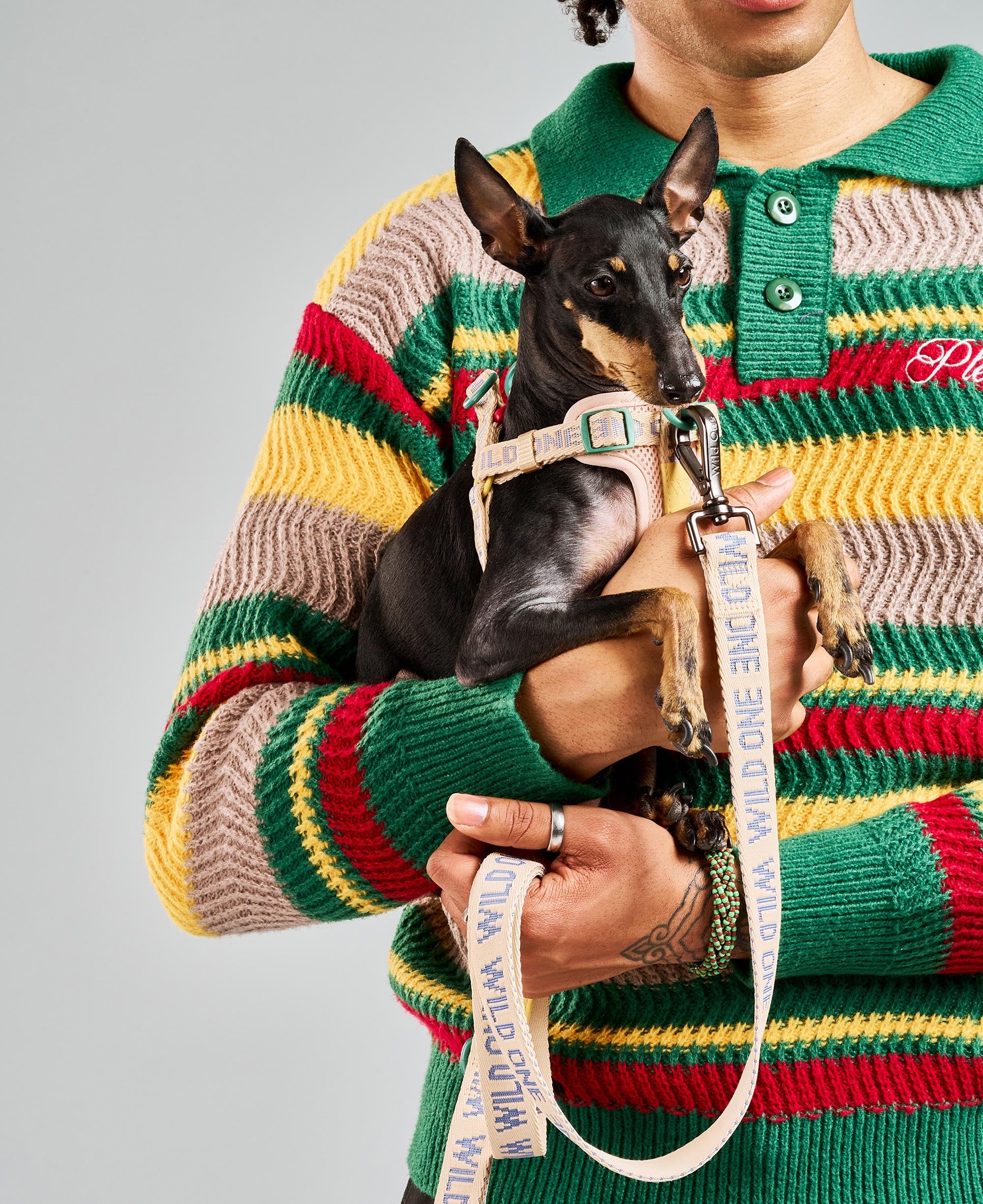 Step-In Dog Harness