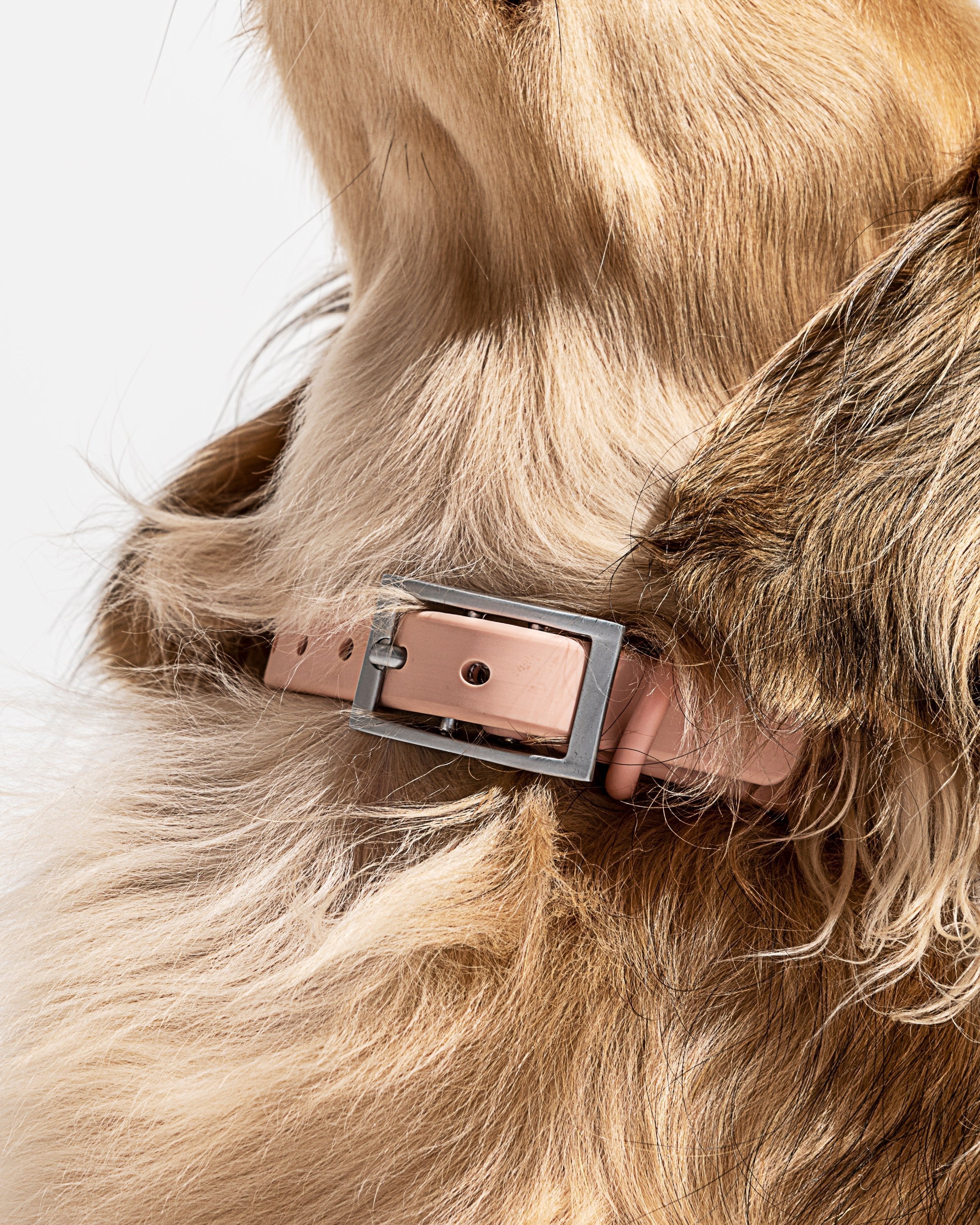 Waterproof Dog Collar