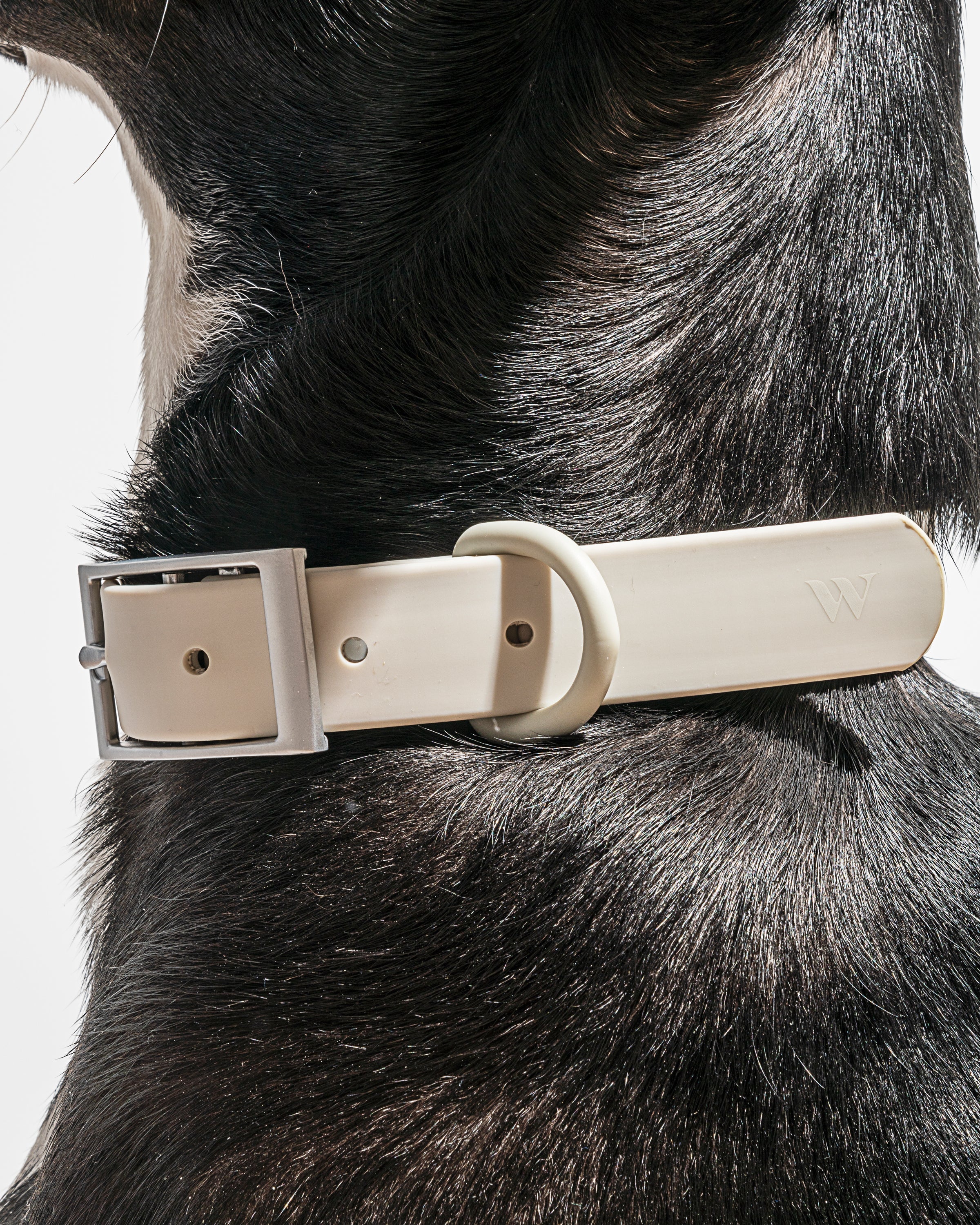 Waterproof Dog Collar