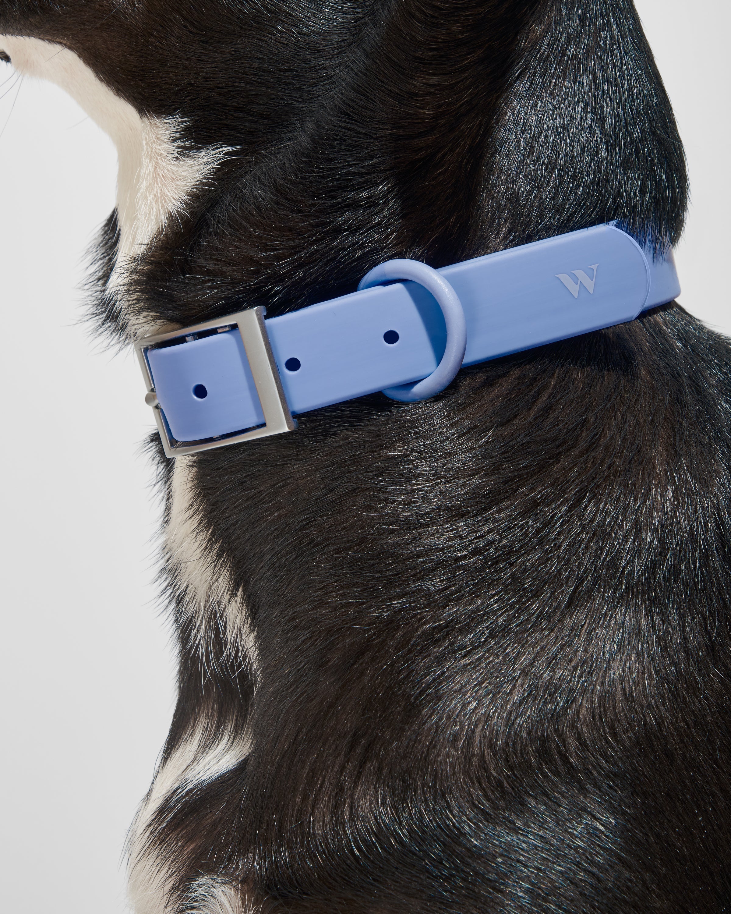 Waterproof Dog Collar