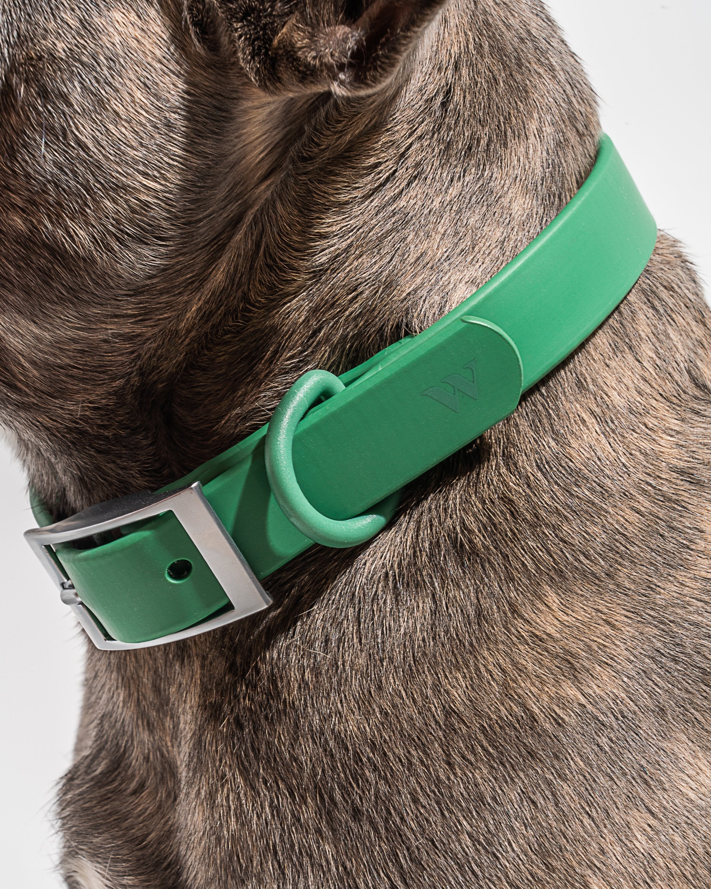 Waterproof Dog Collar