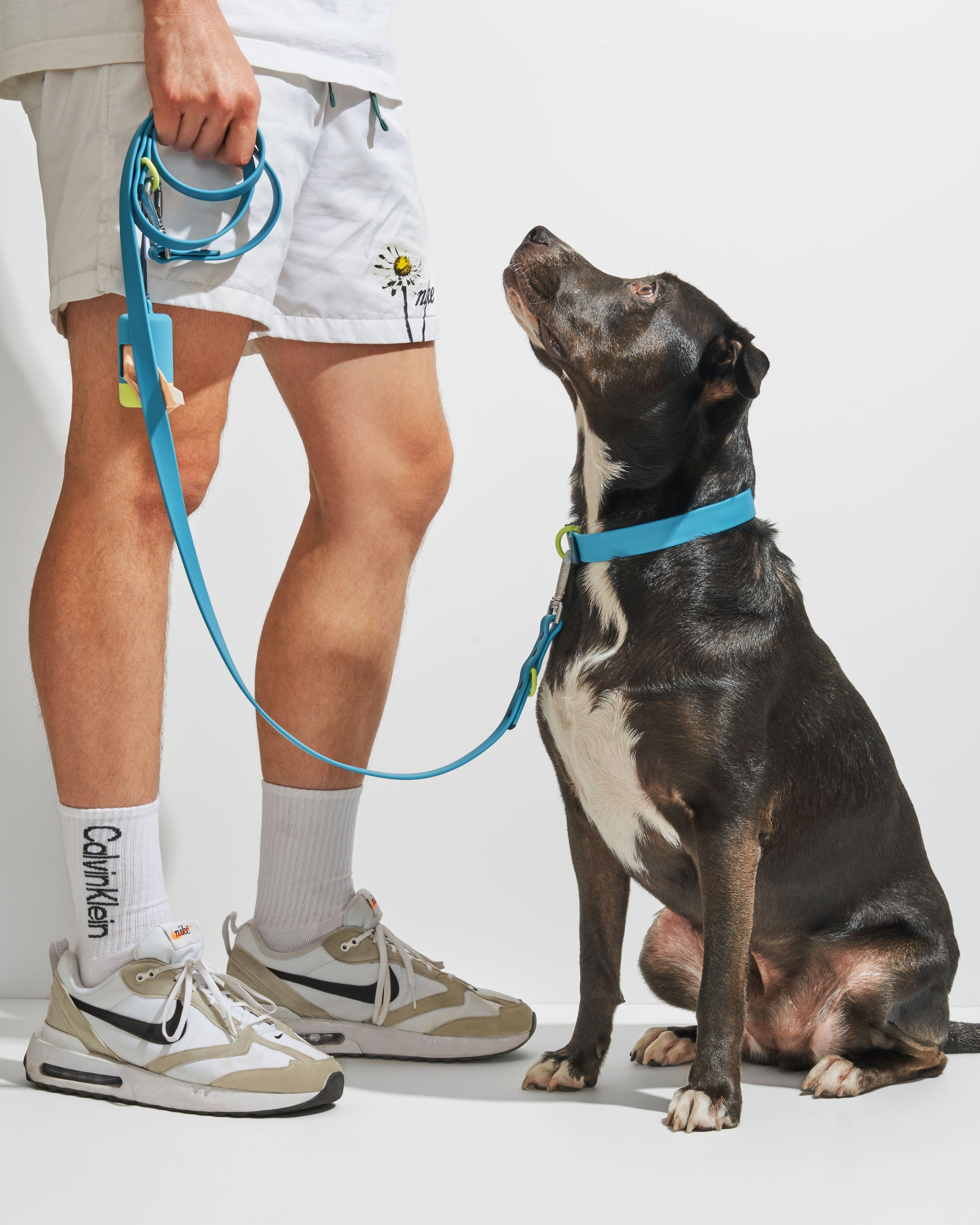 Waterproof Dog Collar