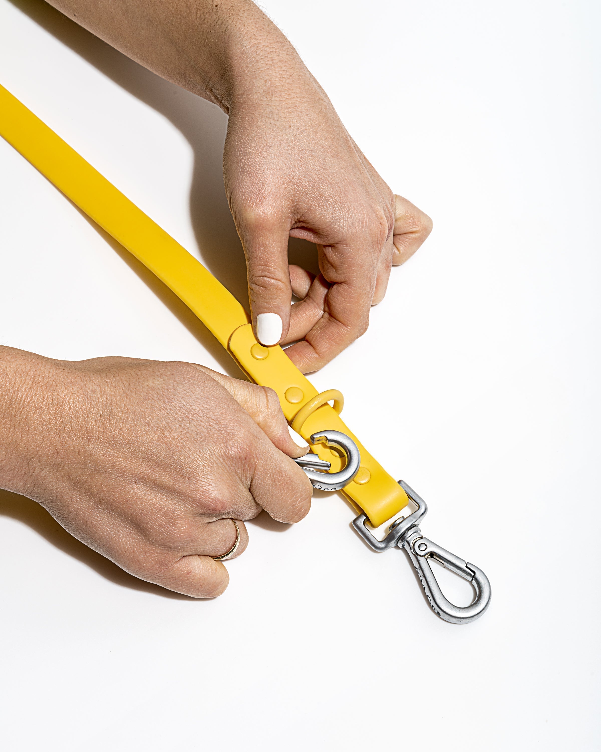 Waterproof Dog Leash