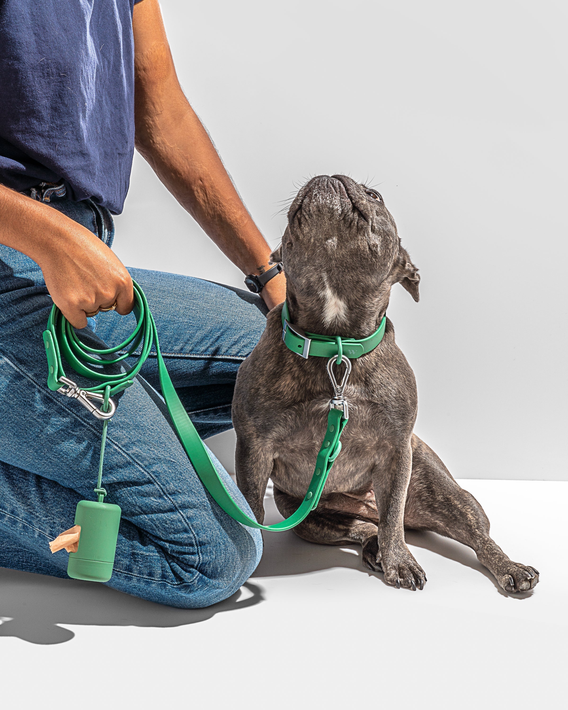 Waterproof Dog Collar