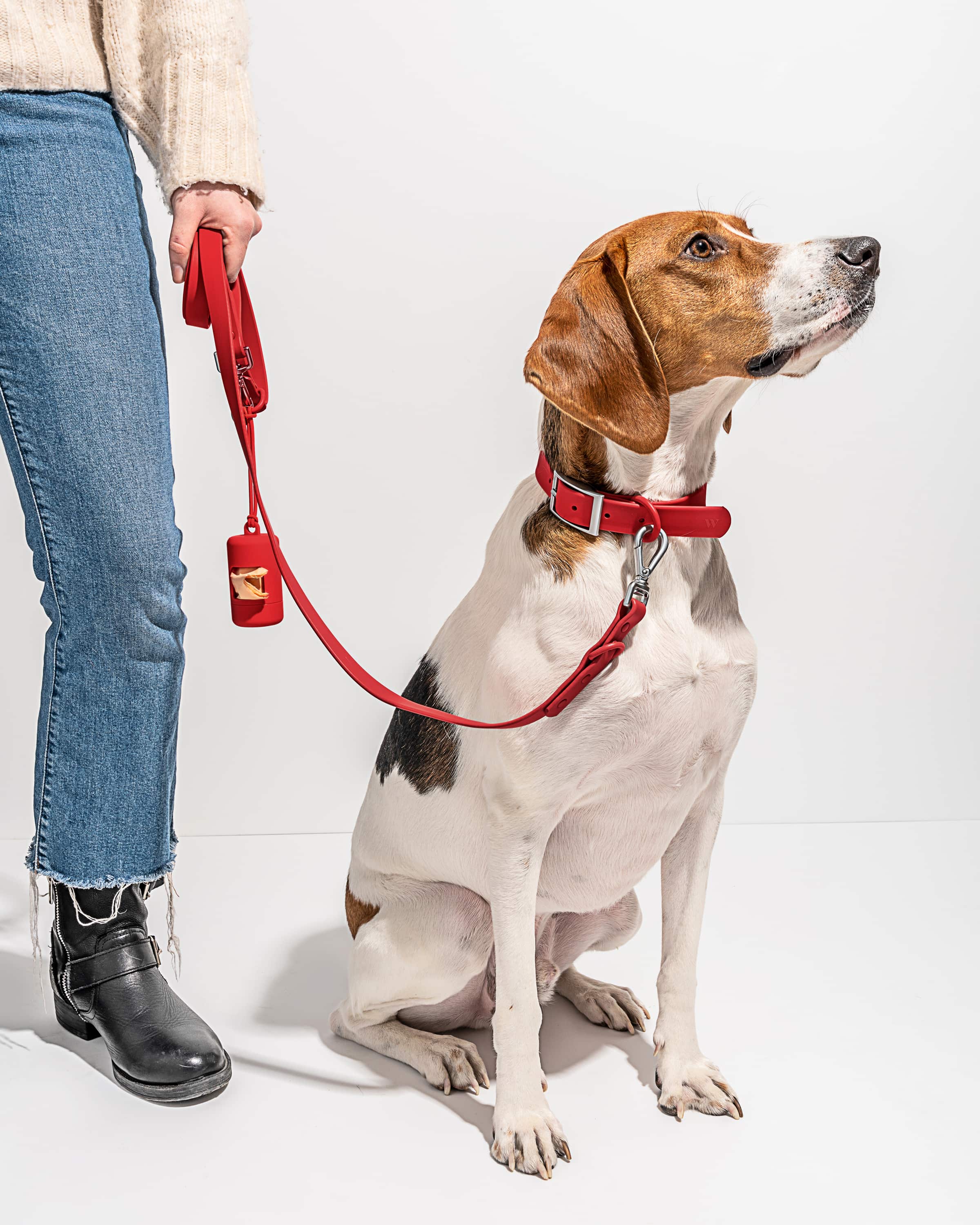 Waterproof Dog Collar