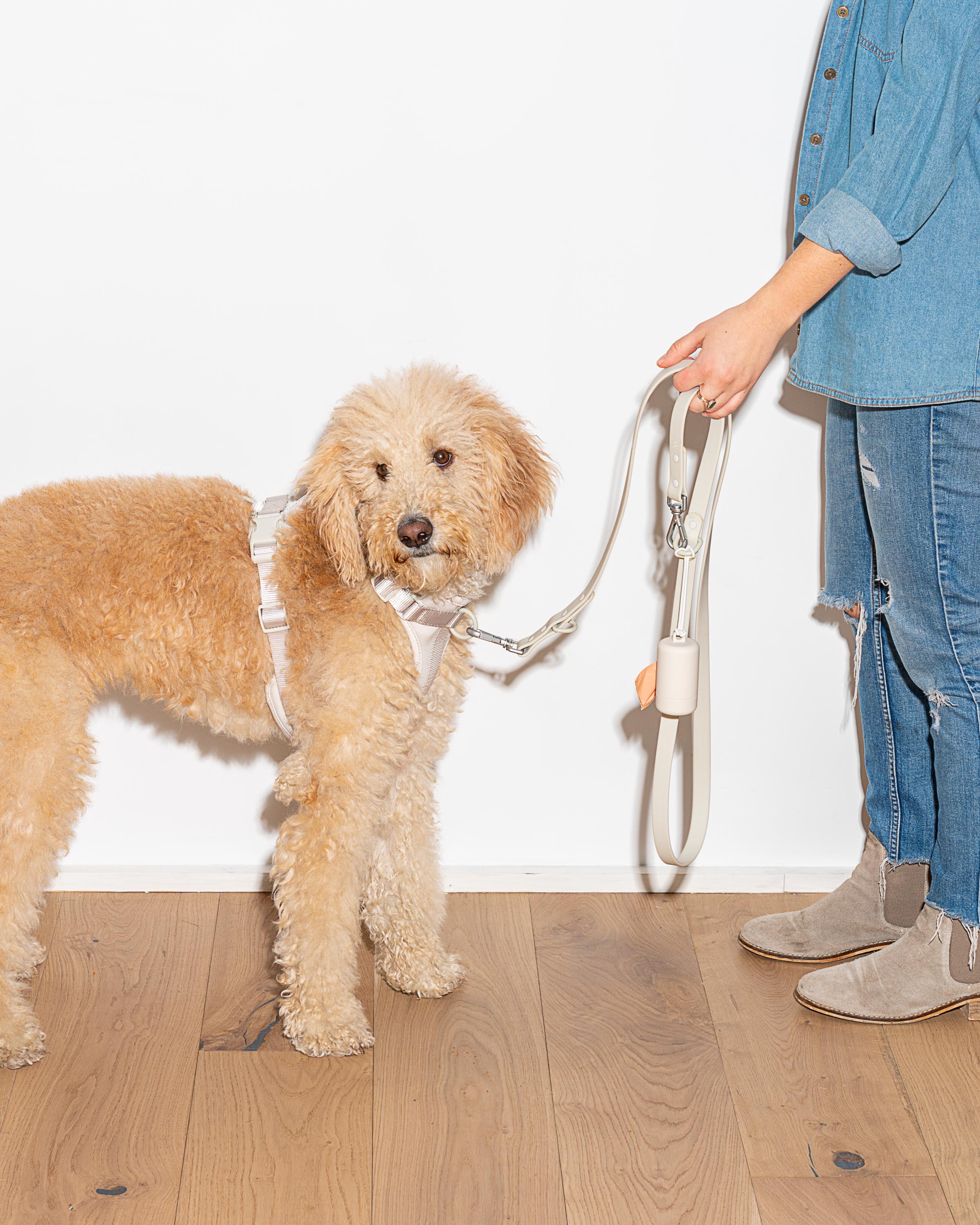 Waterproof Dog Leash