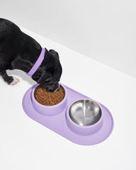 Mealtime Kit