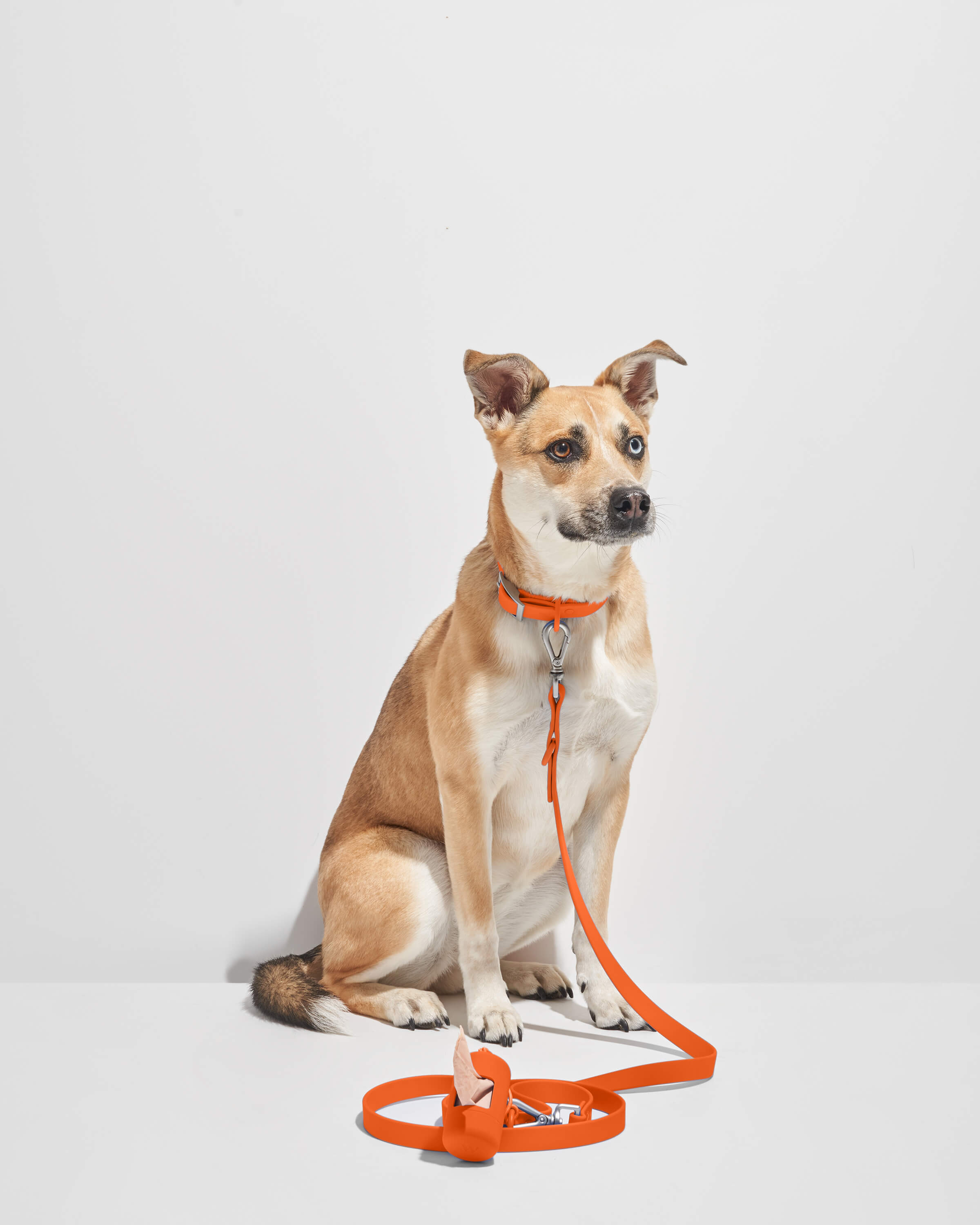 Waterproof Dog Leash