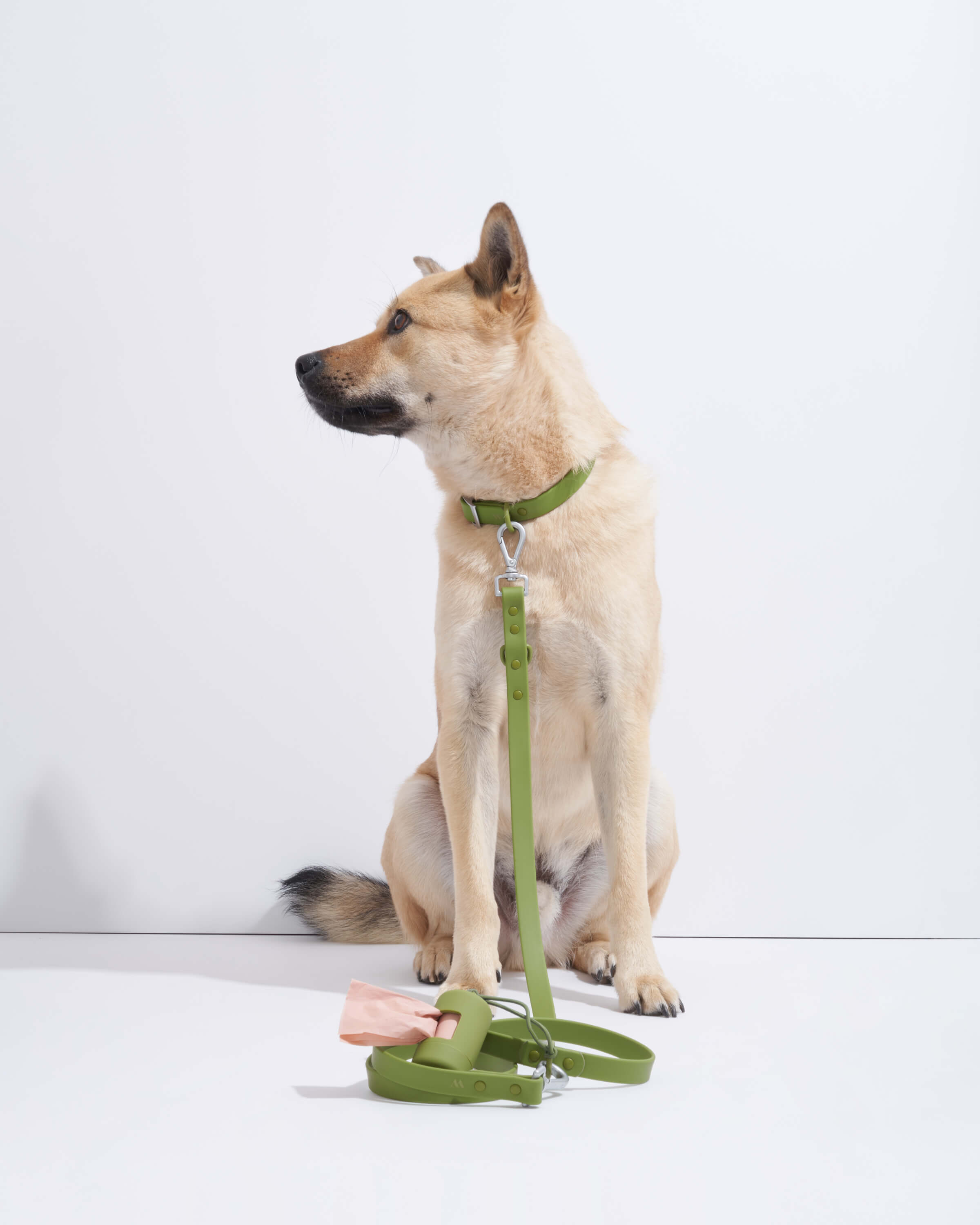 Waterproof Dog Collar