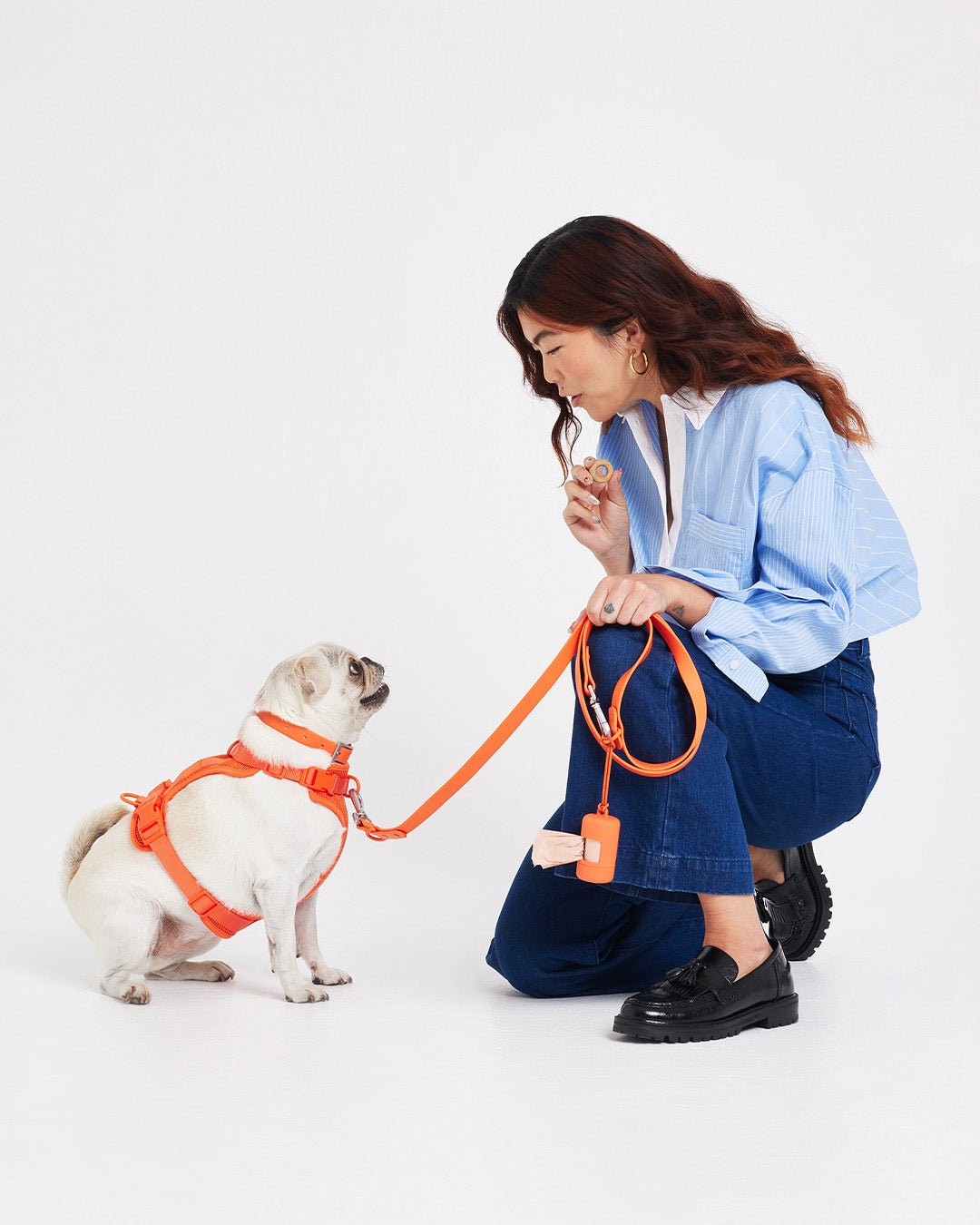Waterproof Dog Leash