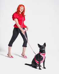 Cushioned Harness + Hands-Free Rope Leash Walk Kit
