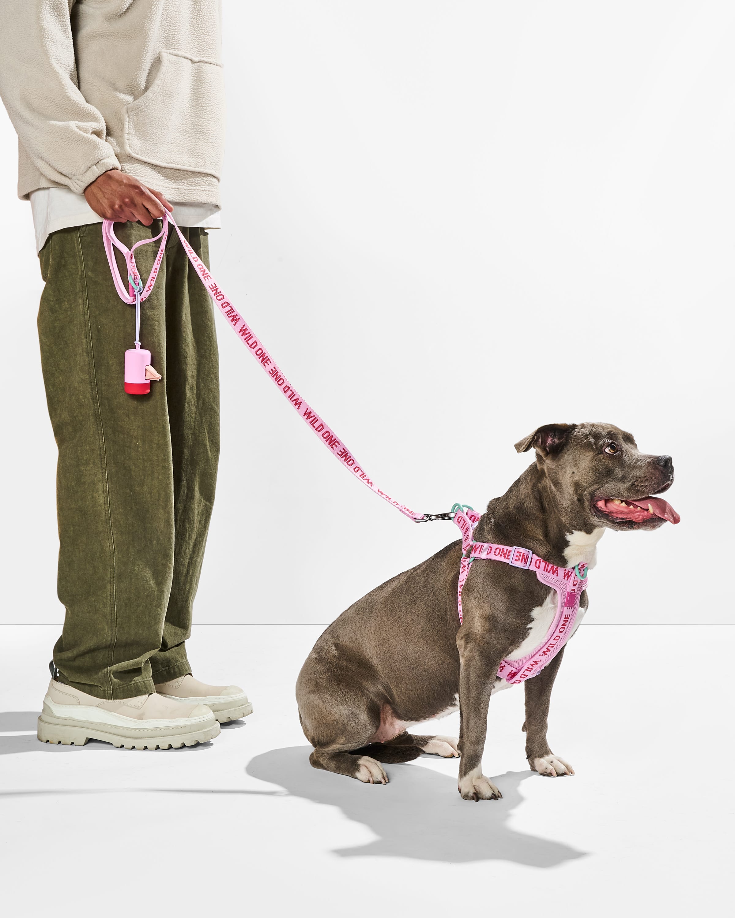 Lightweight Dog Leash